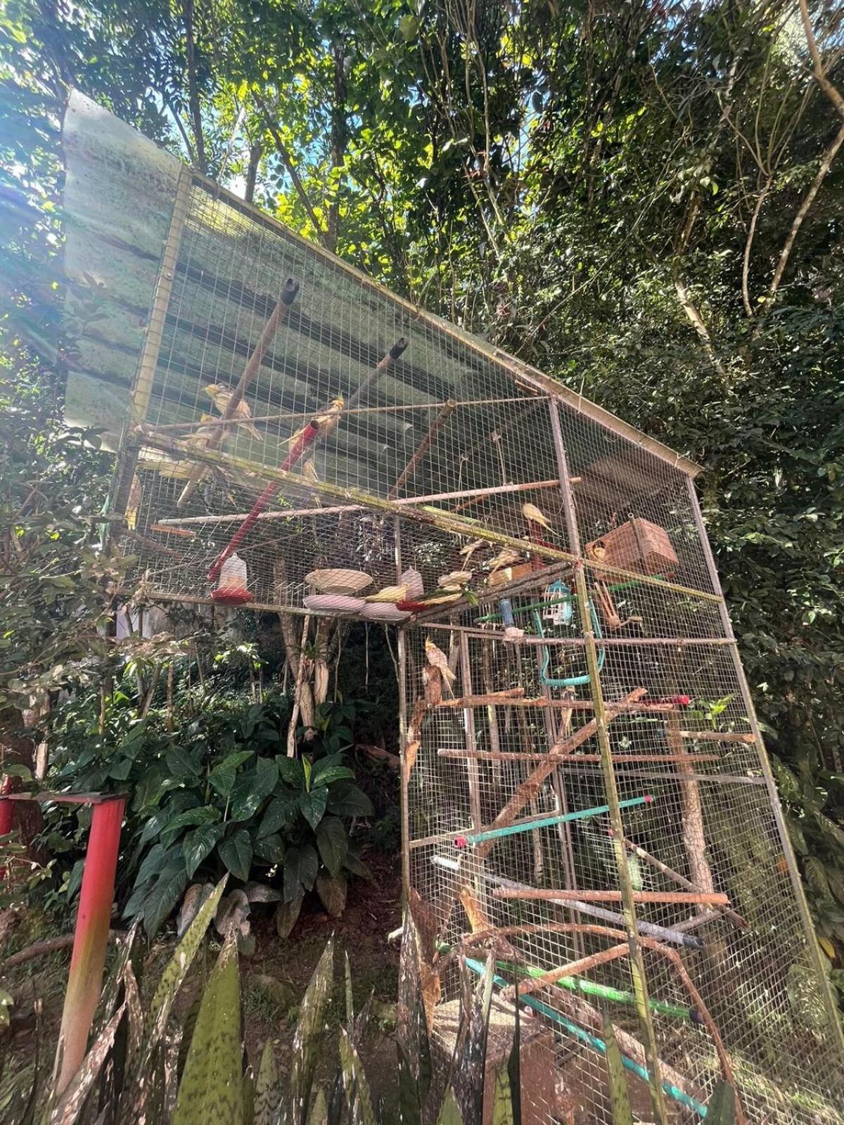 Ape Do Salomao Appartement Balneário Camboriú Buitenkant foto